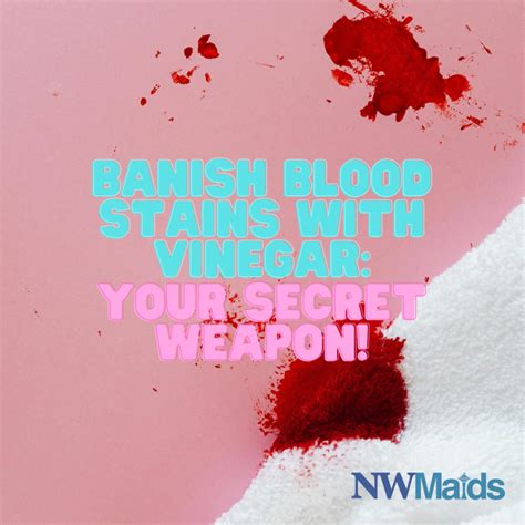 blood stains vinegar